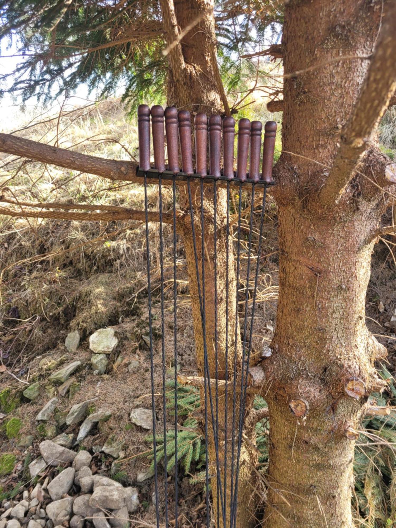 Forest Camp Dom W Gorach Sowich Michalkowa Ngoại thất bức ảnh